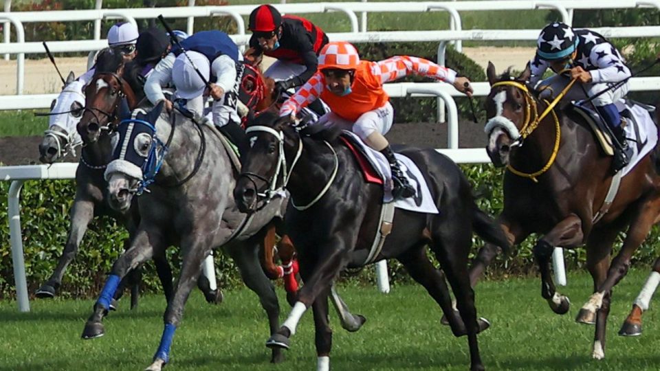 At yarışlarında TBMM Koşusu Ankara’da yapılacak